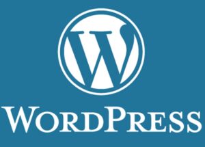 RiTheme 日主题推荐 – WordPress 高端主题/插件 会员推广计划