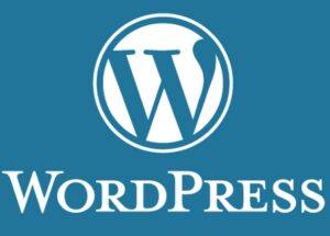 RiTheme 日主题推荐 – WordPress 高端主题/插件 会员推广计划 - 截图