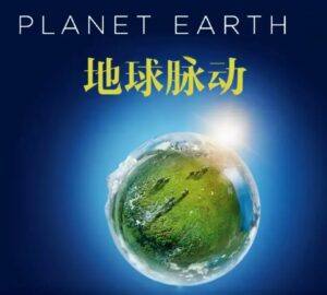 *豆瓣9.7高分BBC纪录片*《地球脉动》 -S03季全集 国英双语 A7CD - 截图
