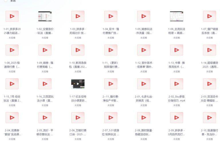 PixPin 2026 02 12 21 36 17 8 1024x656 - 25年 4-7月 拼多多运营特训营:暴力起店 强付费策略 活动爆流 突破运营瓶颈,干货拉满
