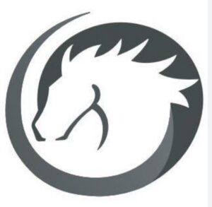 黑马年度钻石会员|新媒体+短视频+直播运营全套课程 - 截图