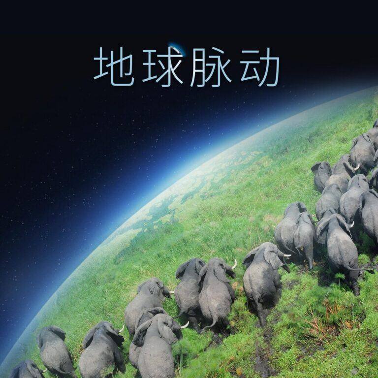 ca13ced2 7913 11ef 9926 12cb3f34bca7 - *豆瓣9.7高分BBC纪录片*《地球脉动》 -S03季全集 国英双语 A7CD