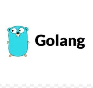 尹成Golang全栈VIP实战营 配图