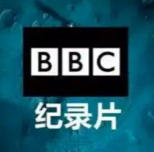 影音 - BBC纪录片合集 已分类 600多部纪录片合集