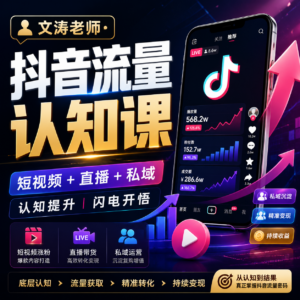 文涛老师-抖音流量认知课,短视频+直播+私域,认知提升,闪电开悟 配图