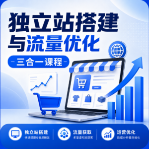 独立站搭建和流量优化三合一课程：解决独立站运营问题(56节课) 配图