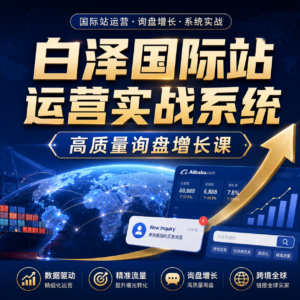 白泽国际站运营实战系统:高质量询盘增长课 配图