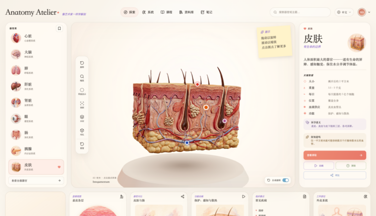 GitHub 有一个 3D 人体器官网站火了，看看怎么用 AI 做出来的。